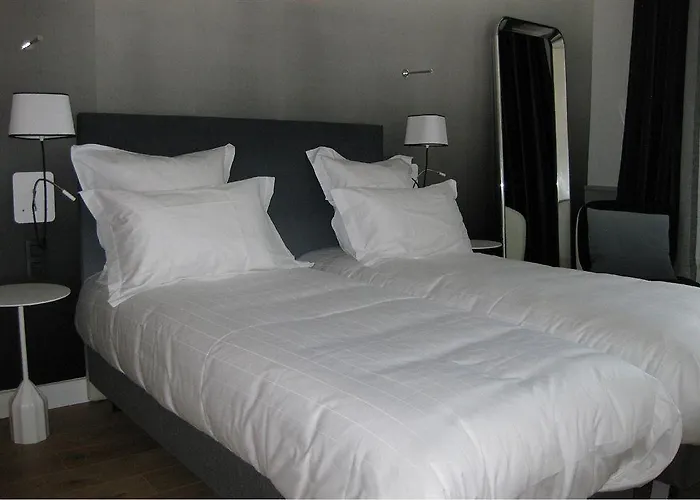 The Originals Boutique, Le Lion, 3* 克莱蒙费朗